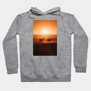 Safari Sunset Hoodie